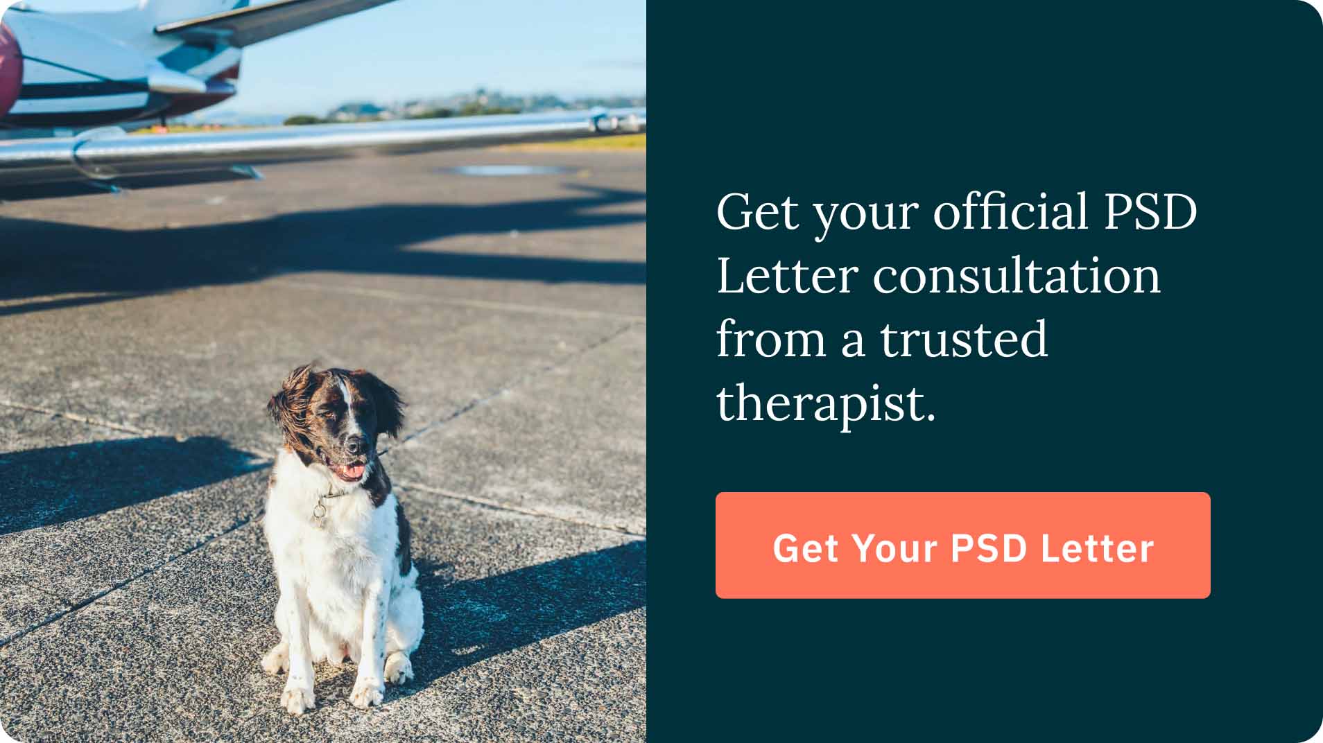 Do Airlines Charge For Emotional Support Dogs